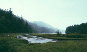 cilxarhu677 moisturizer product