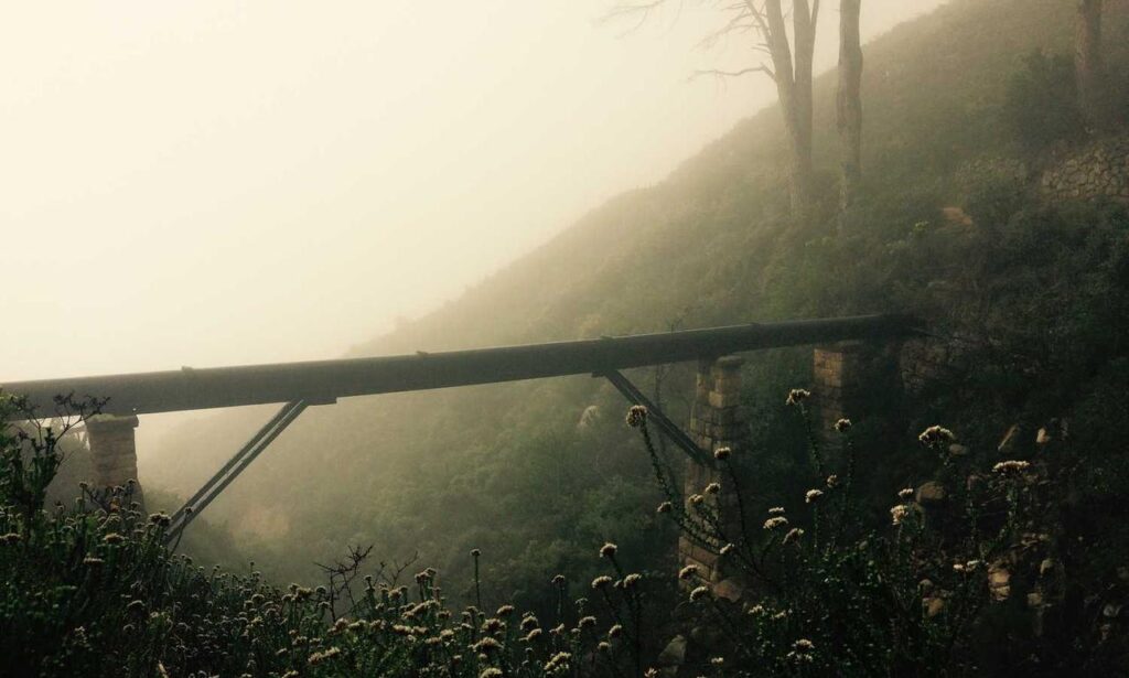 new version update etsjavaapp