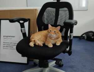 release date etsjavaapp