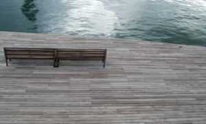 sofware doxfore5 dying