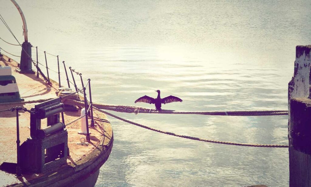 update munjoff1445 mods