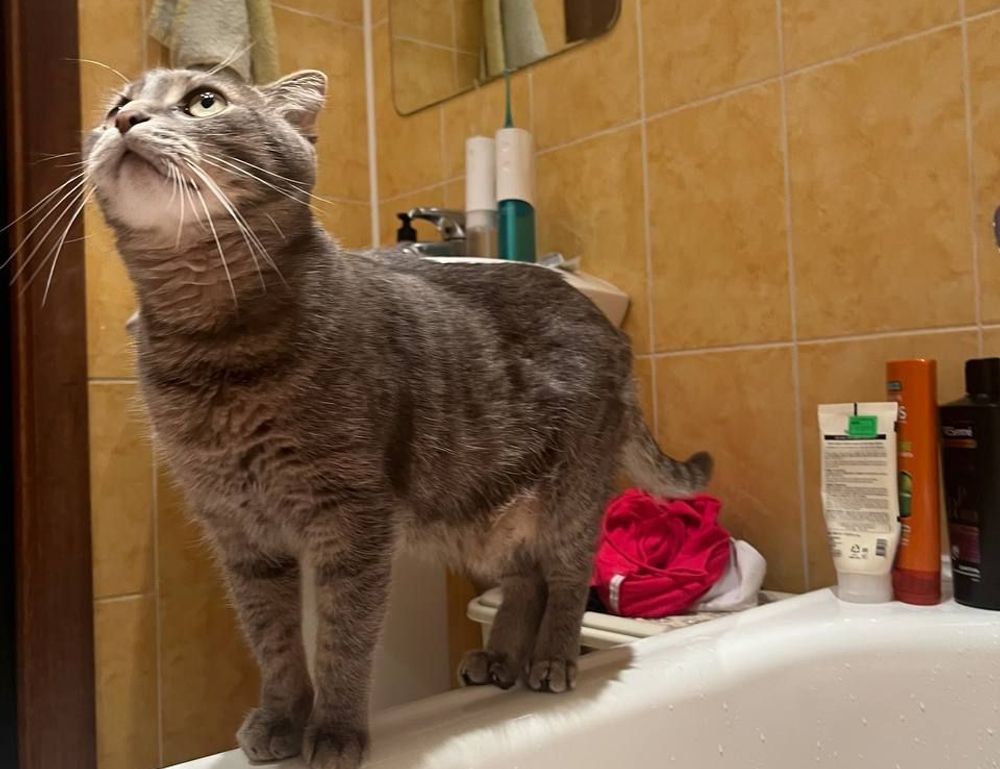 upgrade oxzep7 python