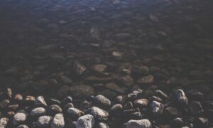 ways to use uhoebeans software