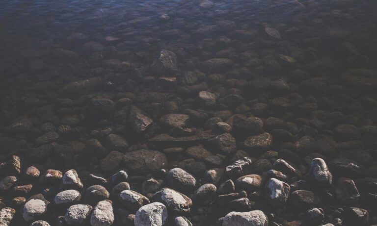 ways to use uhoebeans software