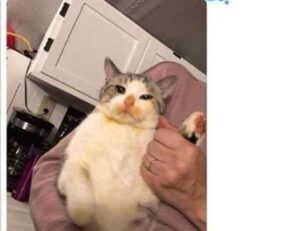 winobit3.4 software error