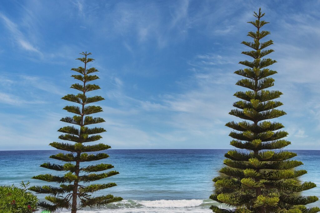 bfncreviews gaming reviews from befitnatic