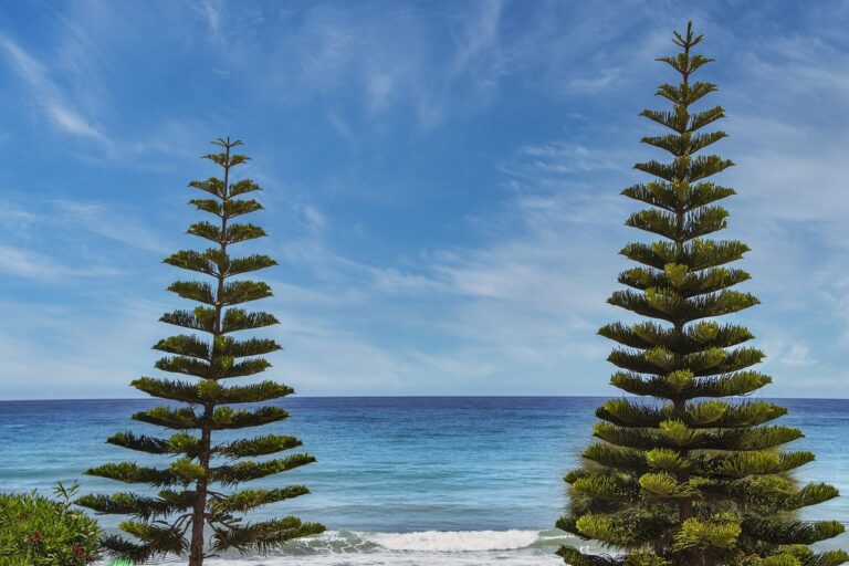 bfncreviews gaming reviews from befitnatic