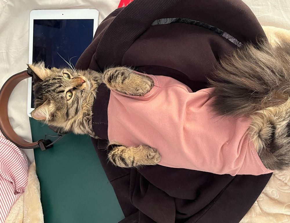 compare gaming consoles tportesports