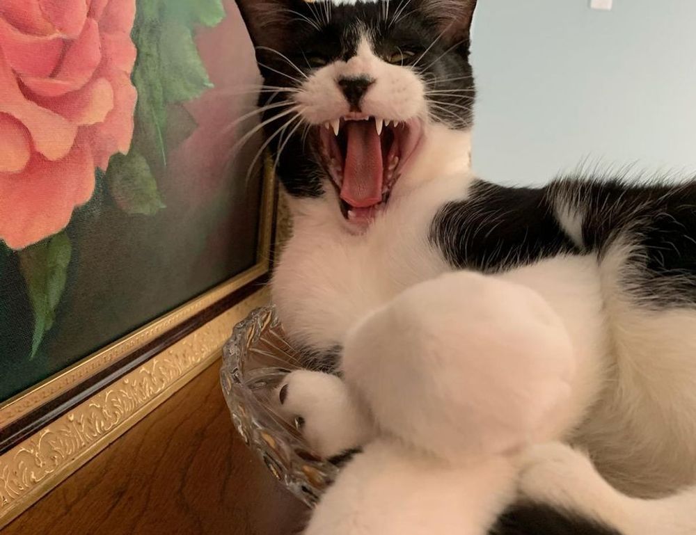 console gaming tportulator