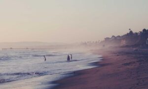 game guide tportgametek