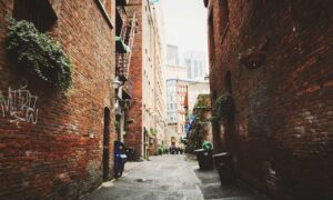 gameplay guide togplayering