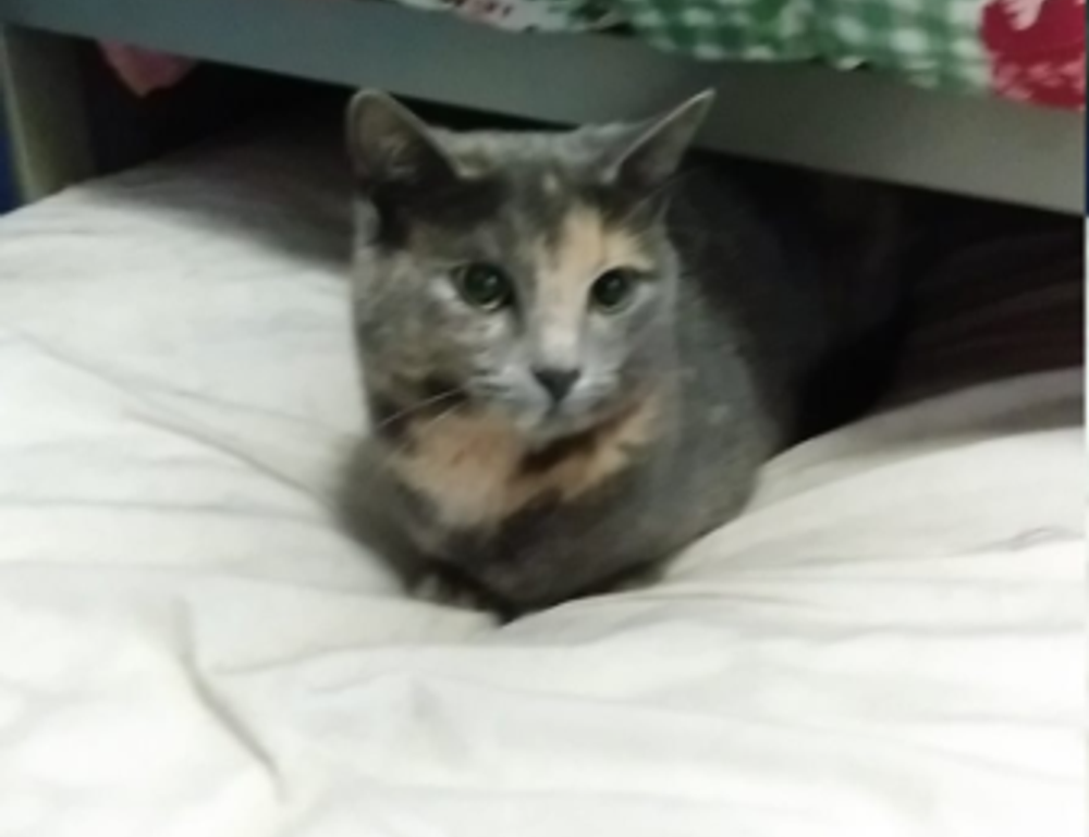 gamrawresports latest gaming hacks by gamerawr