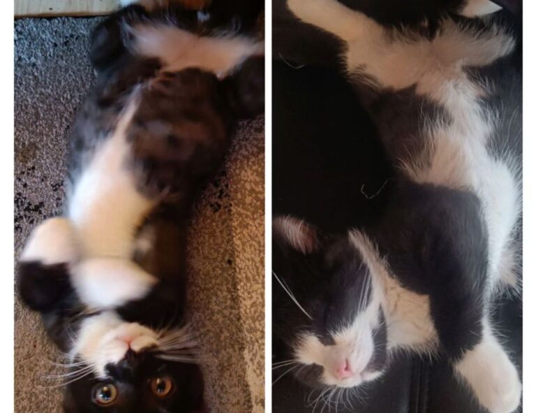 hardware specifications for tgarchiveconsole