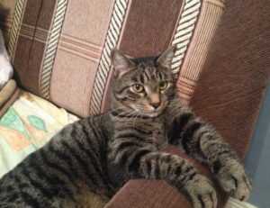 how gaming can be beneficial gamrawresports