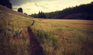 how often should i upgrade my gpu jogameplayer