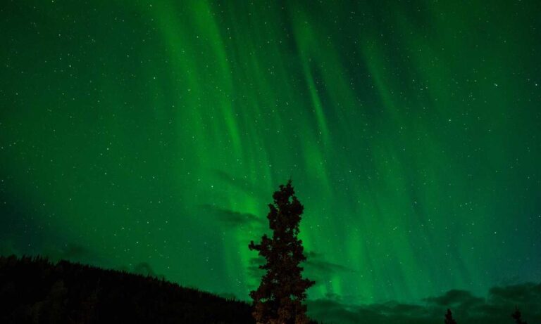 how to set up tgarchiveconsole