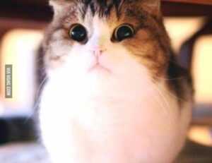 latest gaming hacks gamrawresports