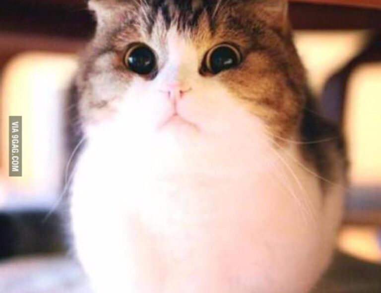 latest gaming hacks gamrawresports