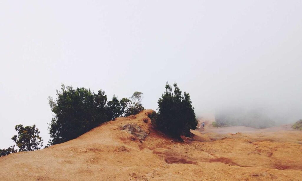 new gaming infoguide gamrawresports