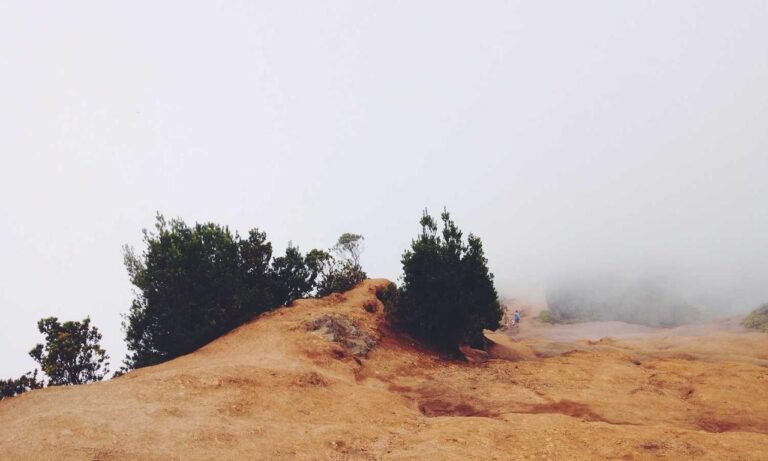 new gaming infoguide gamrawresports