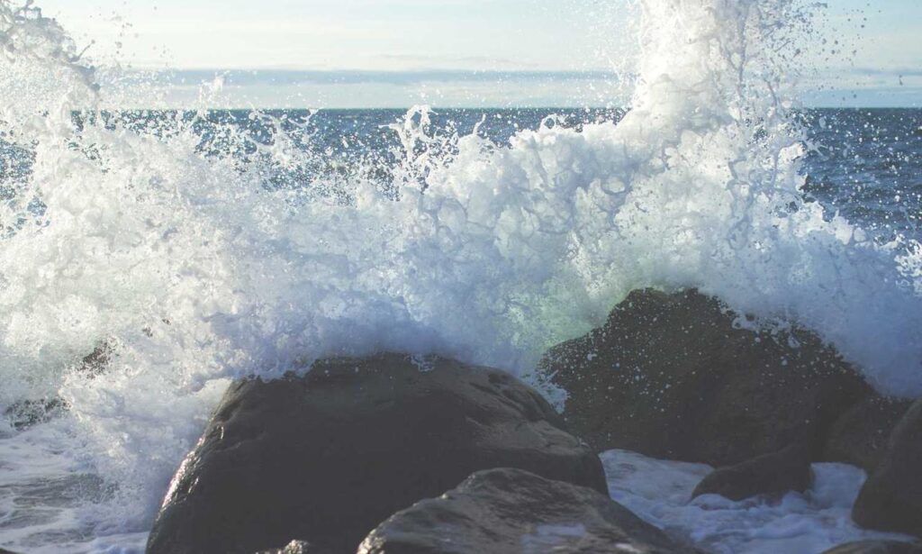 player games reviews tportesports