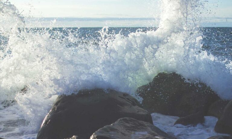 player games reviews tportesports