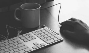 player guide tportesports