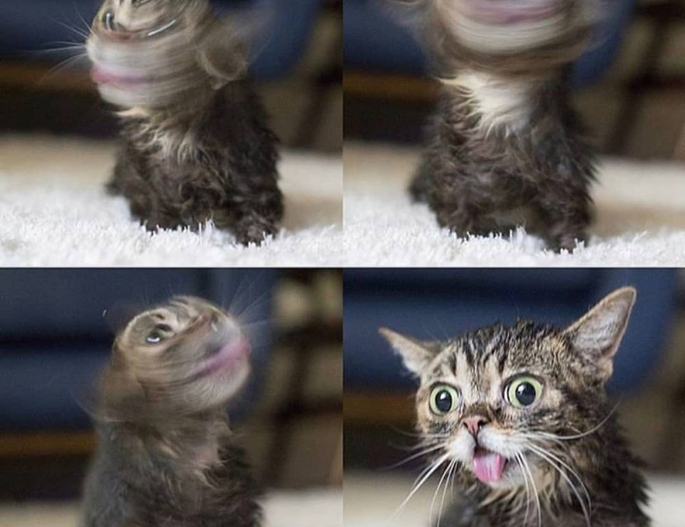 scookiepad updates by simcookie