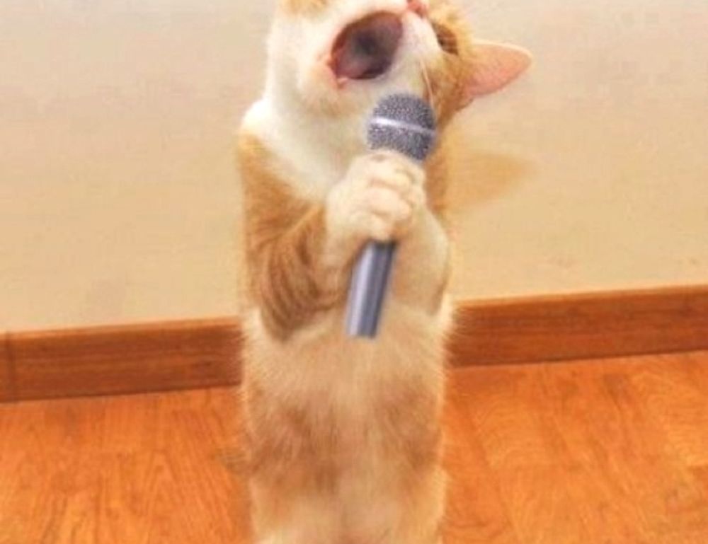 tgarchiveconsole updates by thegamearchives