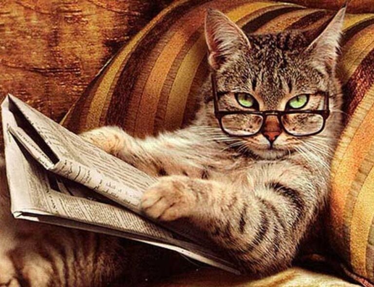 top upgrades jogamesole