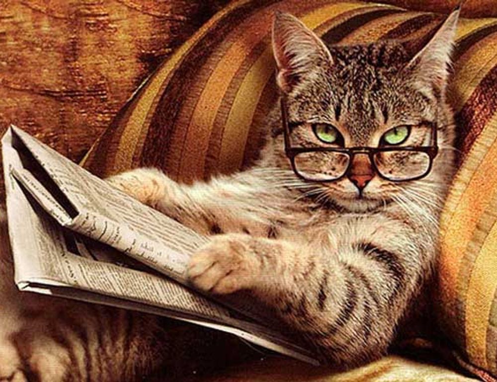 top upgrades jogamesole