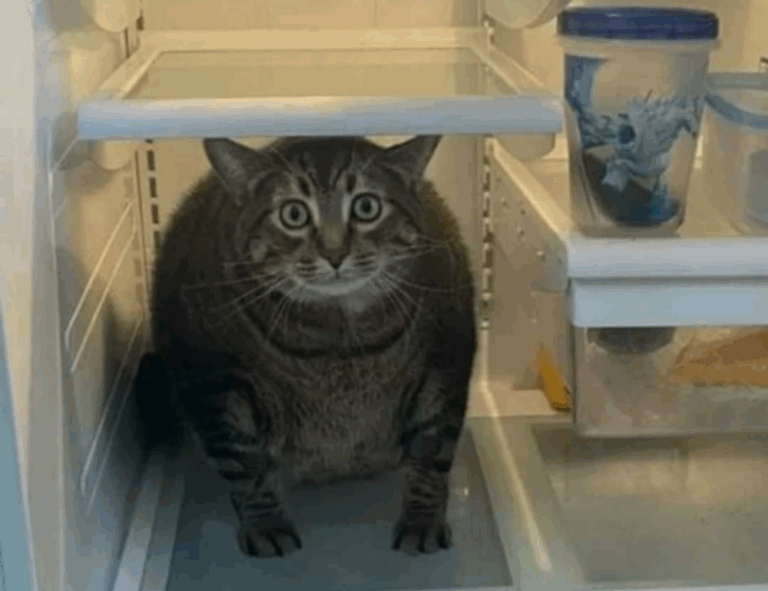 tportesports gaming hacks by theportablegamer