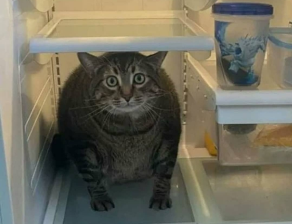 tportesports gaming hacks by theportablegamer