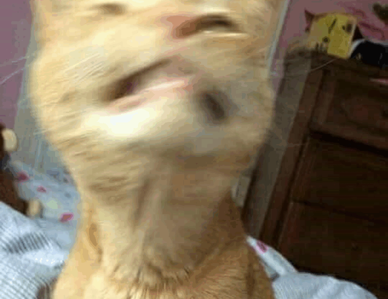 what video game is popular now togplayering