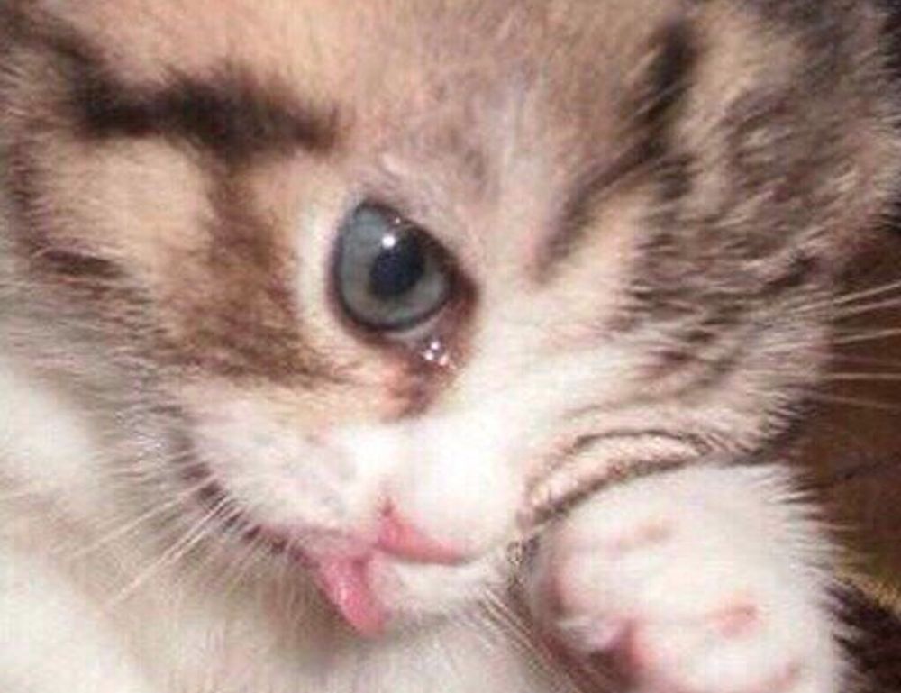 which game engine should i use tportgametek