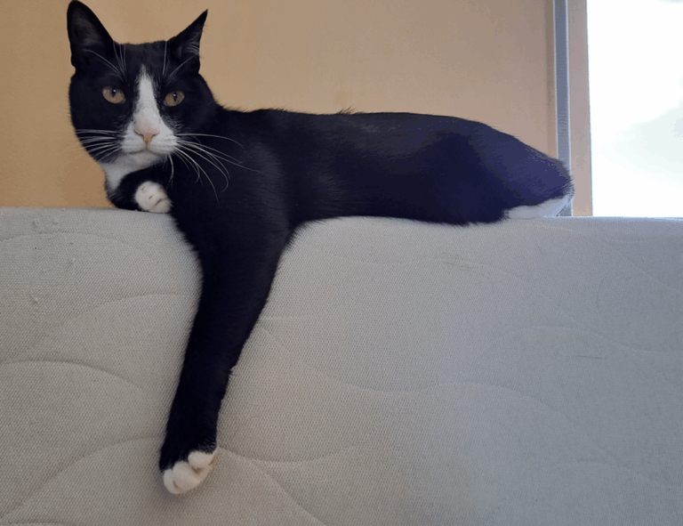 why gaming is good for you gamrawresports