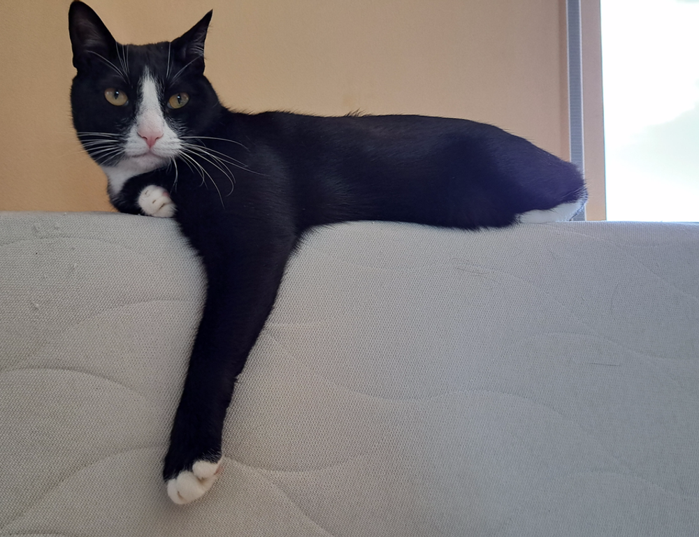 why gaming is good for you gamrawresports