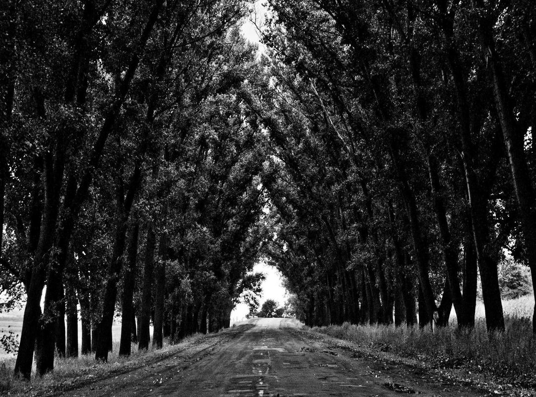 Beyond 5.4: A Quick Reference Guide for Common Conversions