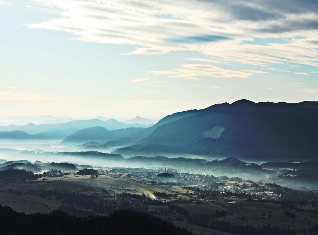 What to Expect: Episode Count, Run Time, and Series Details