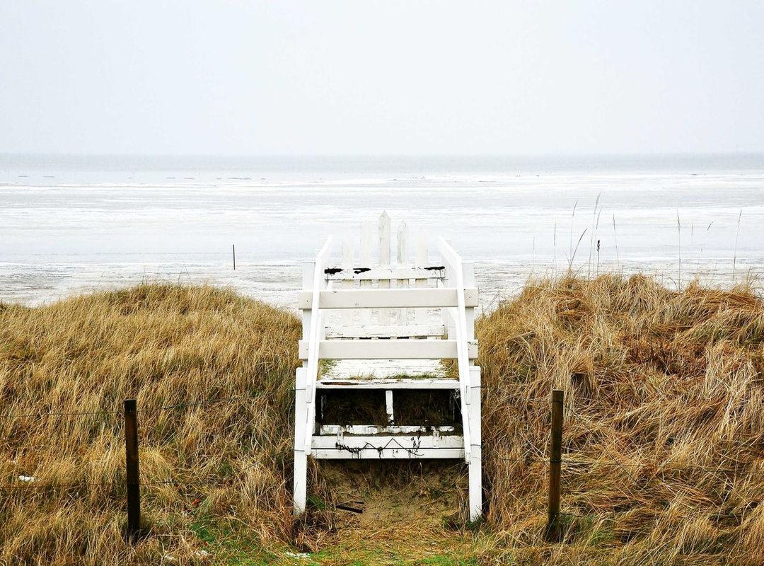 The Boycott, Divestment, Sanctions (BDS) Movement and Mondelez