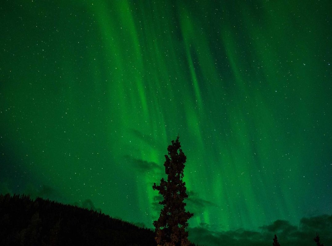 Practical Examples: Seeing 'Habibi' in Action