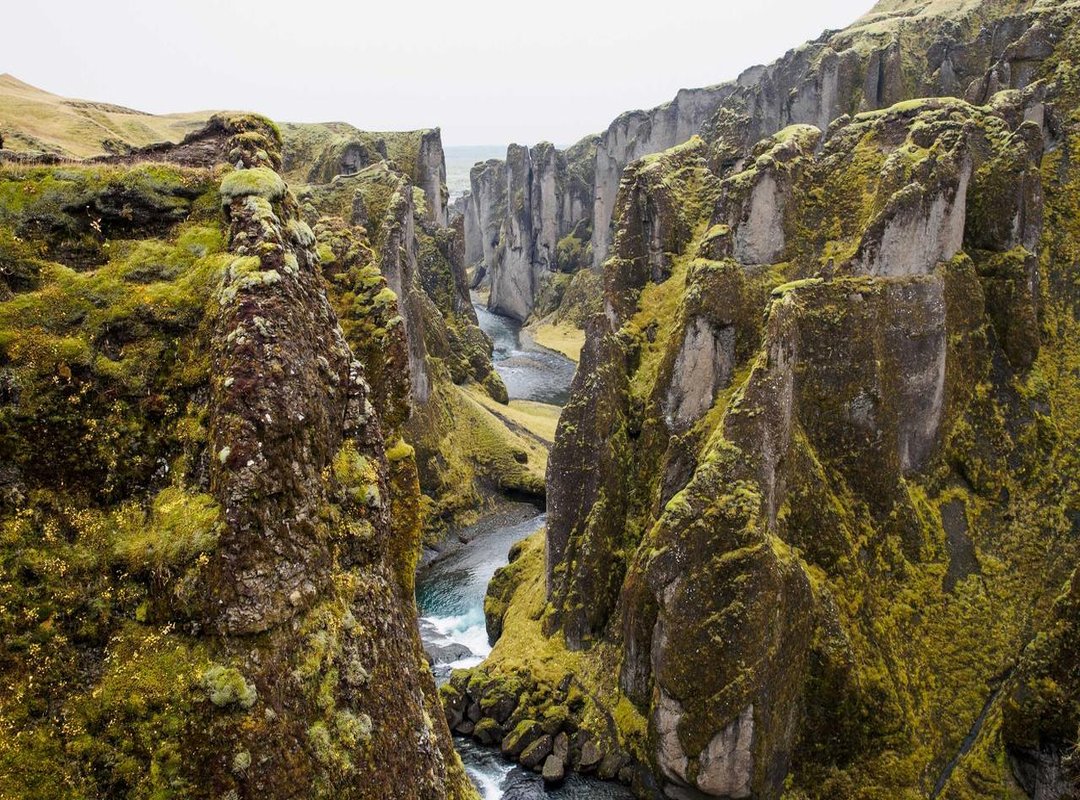 Comparisons: Nido Milk vs. Other Brands