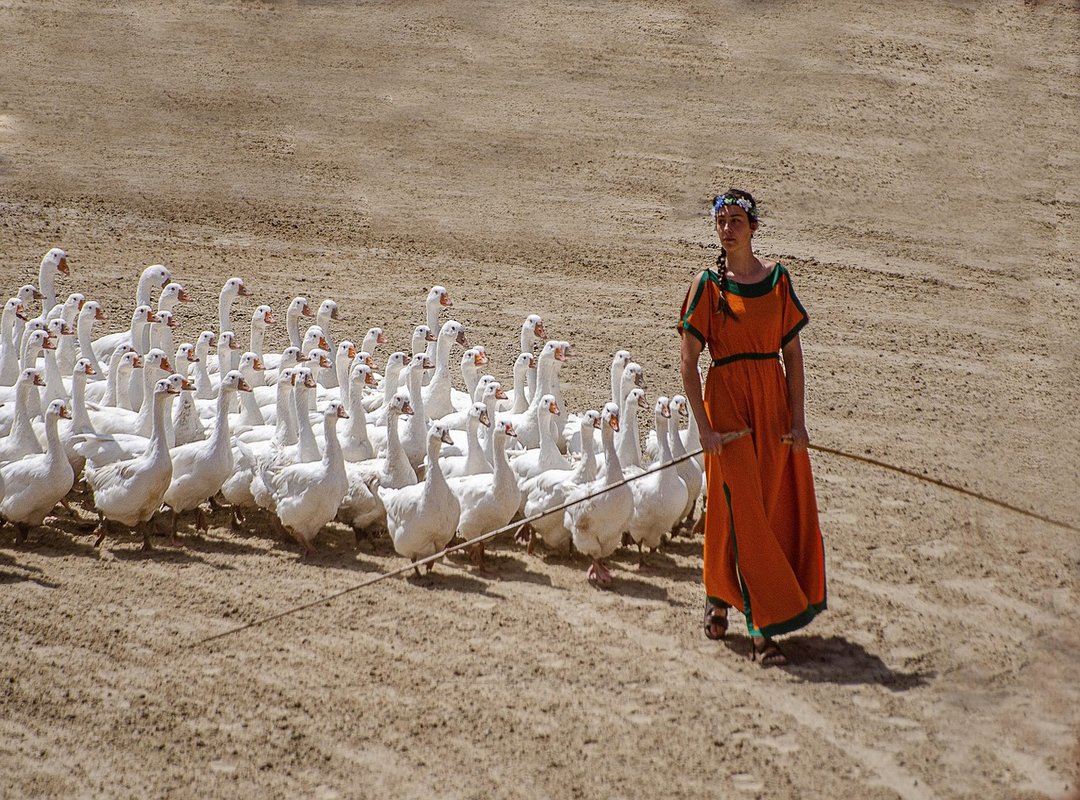 Moving Forward with Understanding and Respect