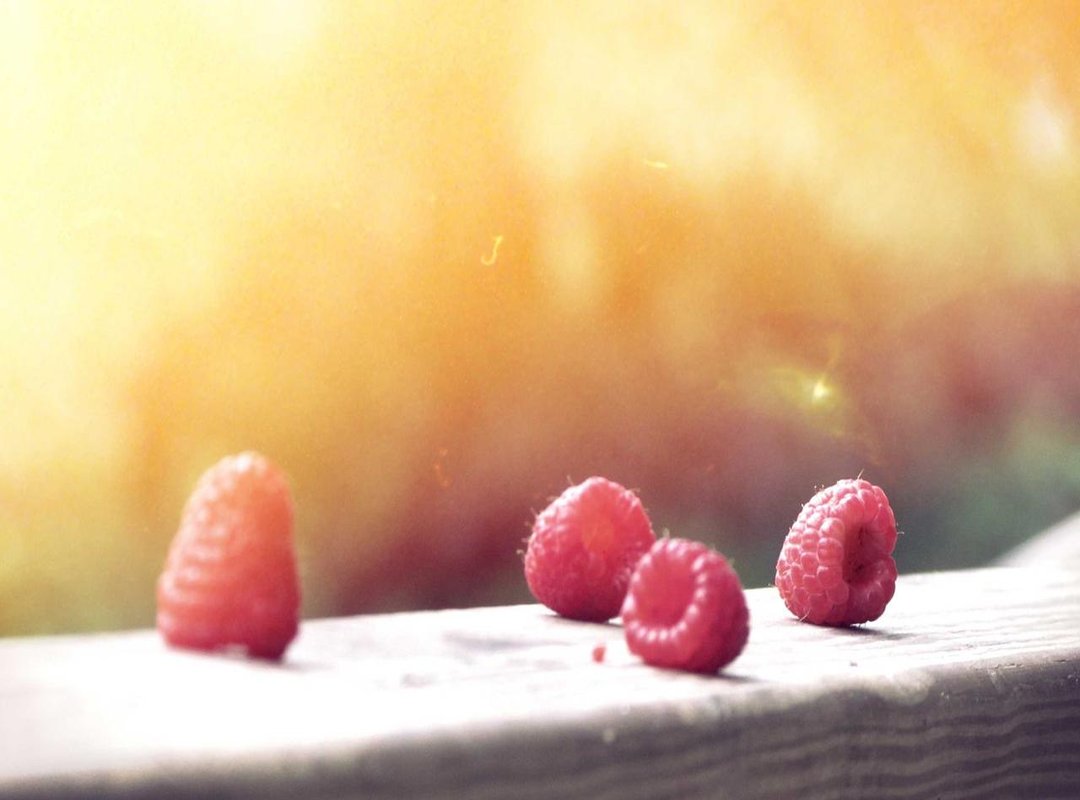 The Aftermath: Memes, Reactions, and Lasting Internet Fame