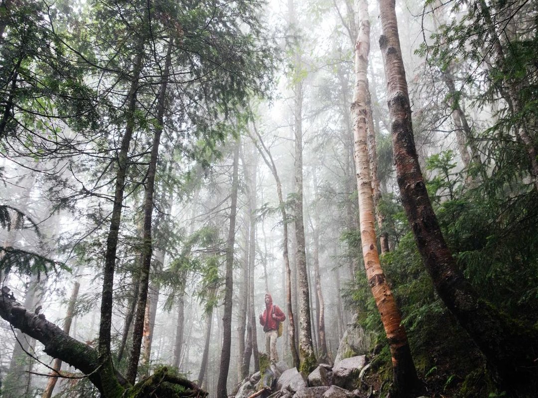 Defining an Image: Style, Presence, and Public Persona