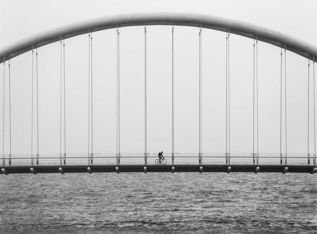 How to Set Up Your New Live Wallpaper (Android & iPhone)