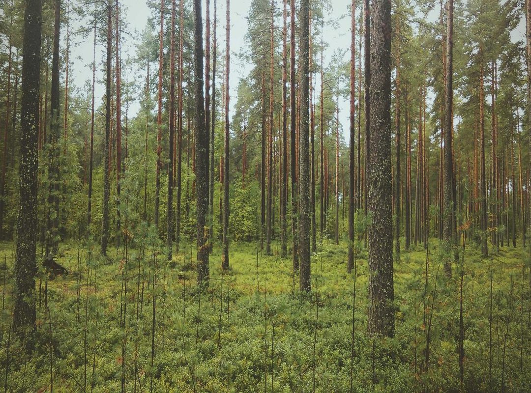 Troubleshooting Your Device: Common App and Phone Glitches