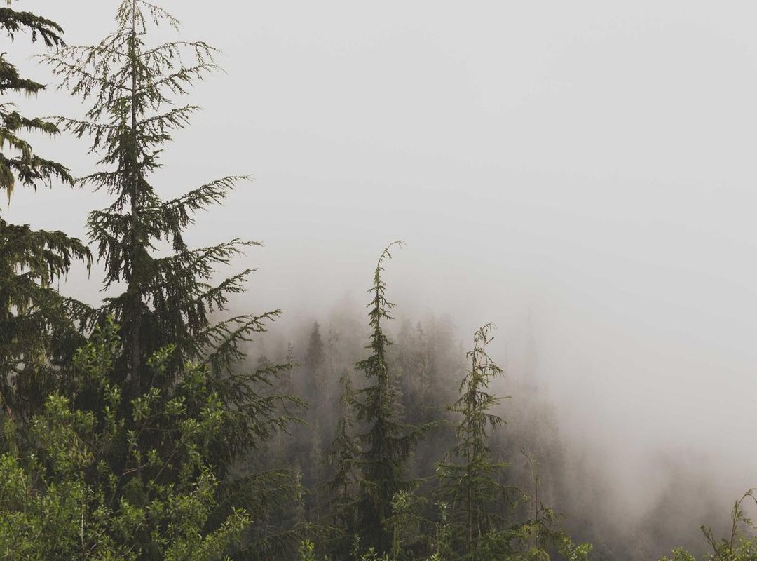 Method 3: Finding Your Local Listings on the Xfinity Website